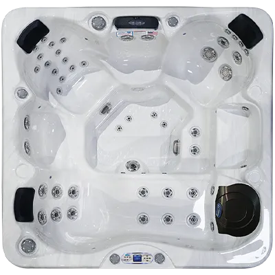 Avalon EC-849L hot tubs for sale in Miami Gardens