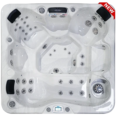 Avalon-X EC-849LX hot tubs for sale in Miami Gardens