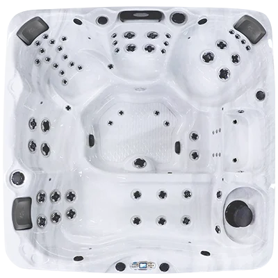 Avalon EC-867L hot tubs for sale in Miami Gardens